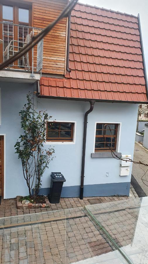 Ferienwohnung Im Bueckle Gottenheim ภายนอก รูปภาพ